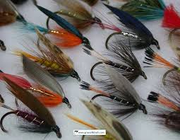 Image result for Segdoune Flyfishers` Angling Club