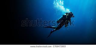 Image result for Deep Blue Diving