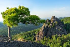 Image result for Красноярские Столбы