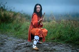 Image result for kung fu