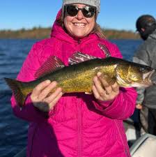 Image result for Cynoscion regalis