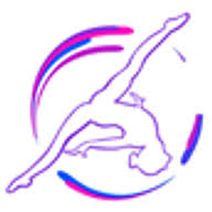 Image result for Aerodyne Gymnastics Club