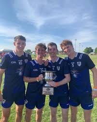 Image result for Wolfe Tones Gaelic Athletic Club