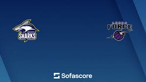 Image result for Leeds Sharks