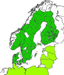 Attēlu rezultāti vaicājumam “Dacne bipustulata”