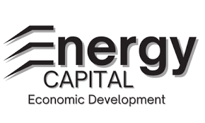 Image result for Team Economic Energy