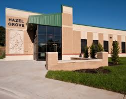 Image result for Hazel Grove