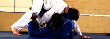 Image result for Combined self defence arts