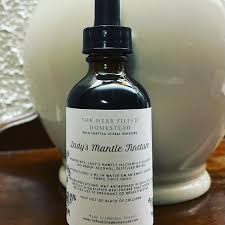 Attēlu rezultāti vaicājumam “Alchemilla vulgaris aggr. flower”