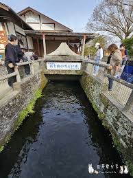 Image result for 水野X68仁義