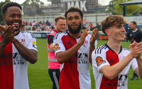 Image result for Addlestone Wanderers