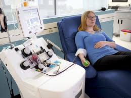 Image result for Gambro BCT Trima