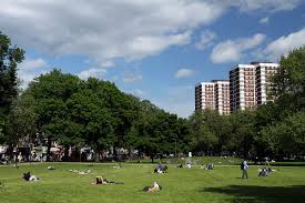 Image result for Shepherds Bush Cricket Club
