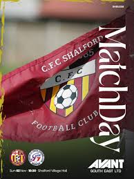 Image result for Shalford F C