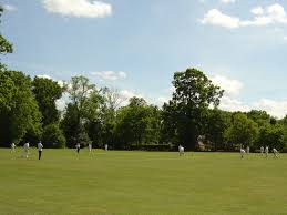 Image result for Ulgham Village Cricket Club