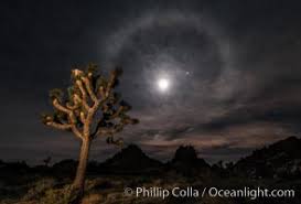 Attēlu rezultāti vaicājumam “Lunar corona”