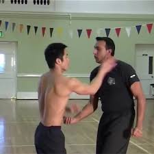 Image result for Kamon Wing Chun