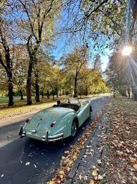 Image result for British Racing Green 1955 Jaguar