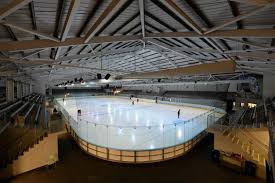 Image result for Milton Keynes Ice Skating Club