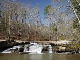 Image result for City Of Carlisle Sc