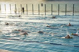 Image result for Melton Mowbray Swimming Club