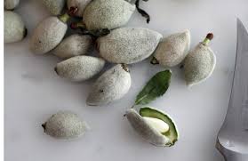 Image result for fresh green almonds