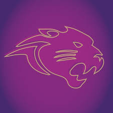 Image result for Brighton Netball Club