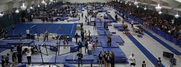 Image result for Mo-Gylity Gymnastics Club