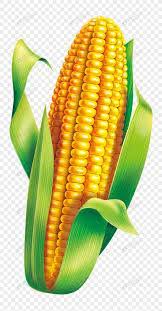 Image result for Mais