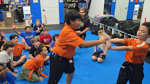 Image result for Awesome Martial Arts Training Center