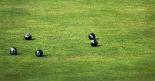 Image result for Nethertown Bowling Club