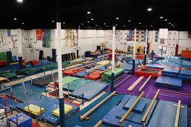Image result for York University Gymnastics Club