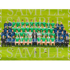 Image result for University Of Limerick Gaa Hurling Club