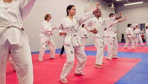 Image result for York University Taekwondo Club
