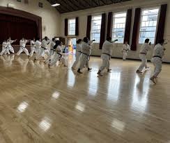 Image result for Yonju dojo shotokan karate club