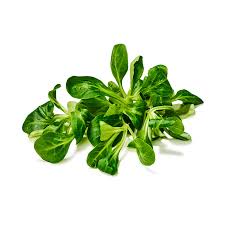 Image result for Feldsalat