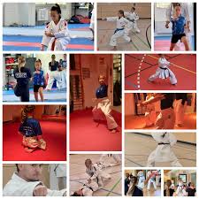 Image result for Uwe Karate Club