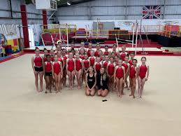 Image result for City Of Newcastle Gymnastics Academy
