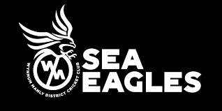 Image result for Wandham Cricket Club