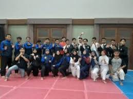 Image result for Silat Pd (Perisai Diri) UK