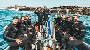 Image result for Wyndley Seals Snorkelling Club