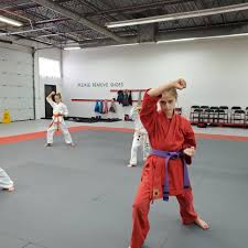 Image result for Kyokushinkai Karate Bradford