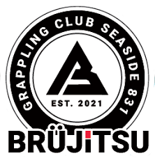 Image result for Basingstoke Aiuchi jiu Jitsu Club