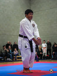 Image result for middlesbrough karate academy