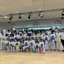 Image result for Free Spirit Karate Club, Droylsden, Greater Manchester