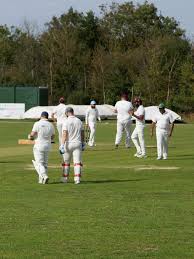 Image result for The Rayleigh Cricket Club