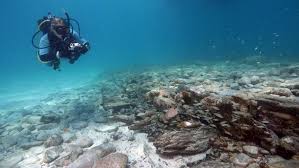 Image result for Duchy Divers