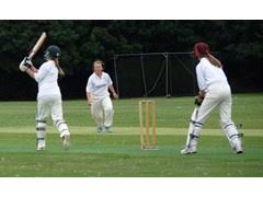 Image result for Thriplow Cricket Club
