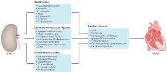 Image result for Peak Performance Ckd, Horley