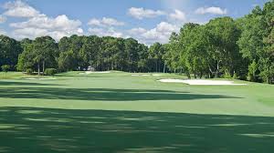 Image result for Dolphina Gc